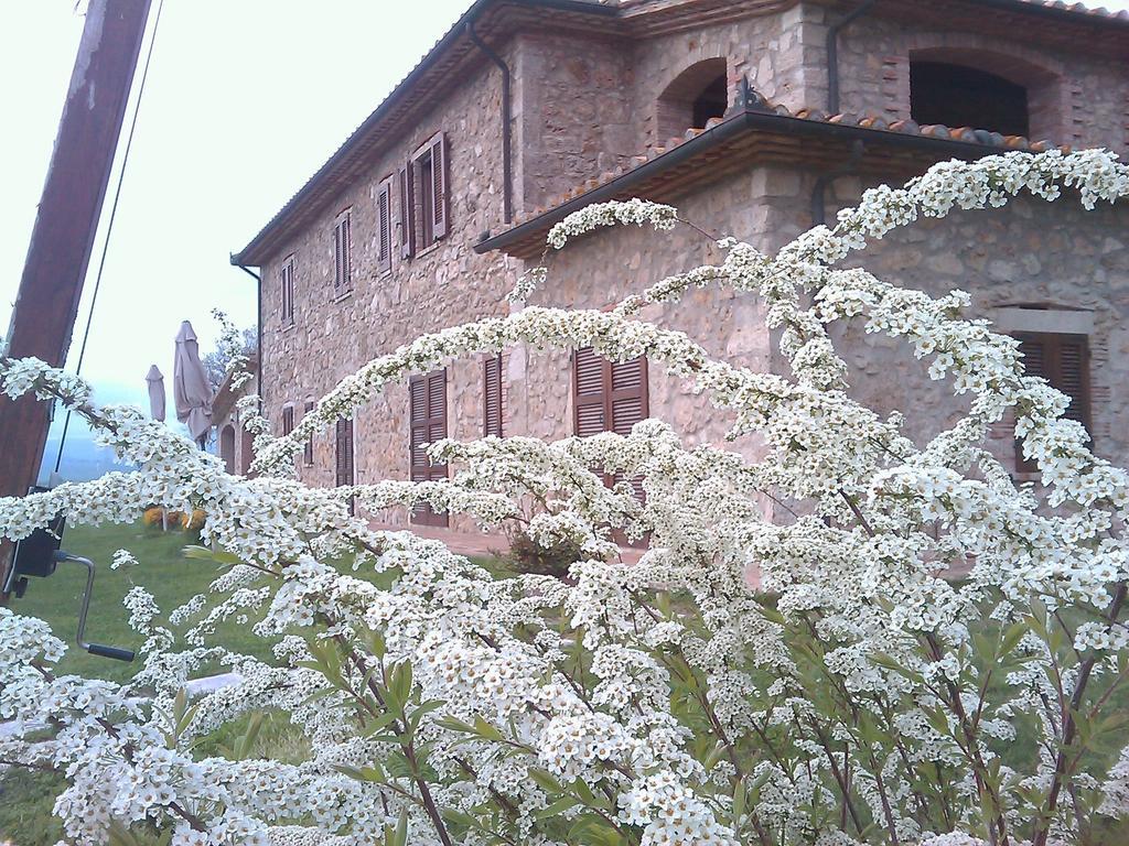 Agriturismo Il Poggiolo Montemerano Extérieur photo