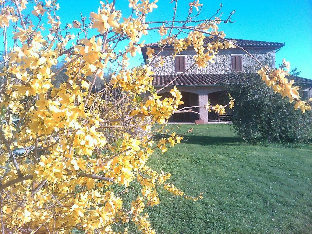 Agriturismo Il Poggiolo Montemerano Extérieur photo